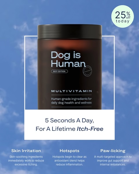 A clean, lifestyle-focused ad showing a Dog Multivitamin bottle against a bright sky, highlighting health benefits like itch relief and gut support.